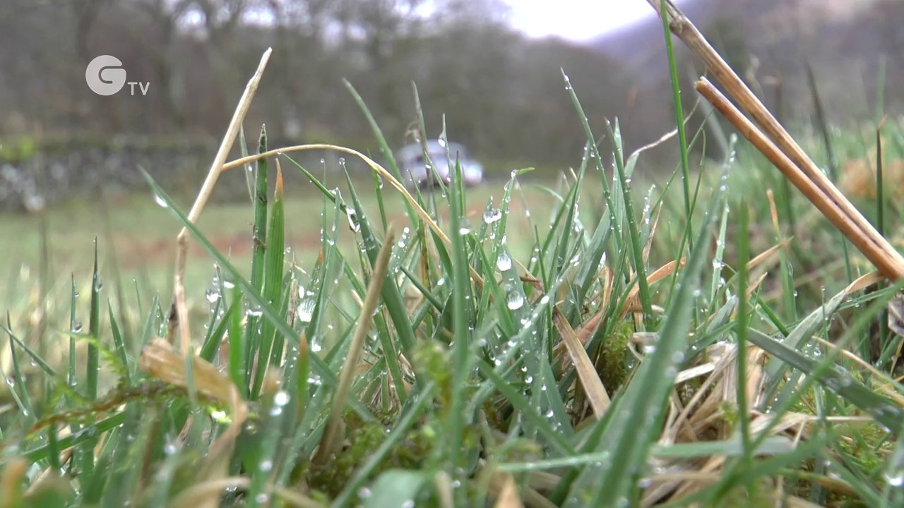 Driving a force of nature - The National Trust tests a new electric Land Rover Defender