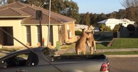 Sokağa Çıkanlar Gözlerine İnanamadı