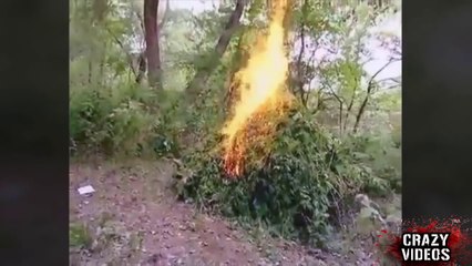 Ultimate Police Fail Compilation 2014 - Best Fails