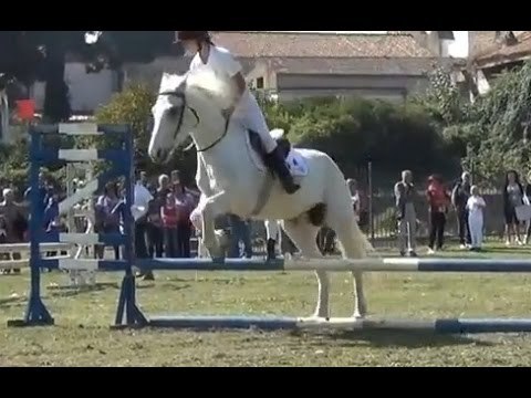Aversa (CE) - Freestyle equestre, spettacolo al Parco Pozzi (05.10.14)