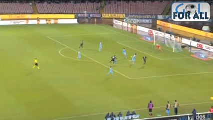 Napoli-Parma 0-1 serie A 2013-2014 (EFFETTO STADIO)