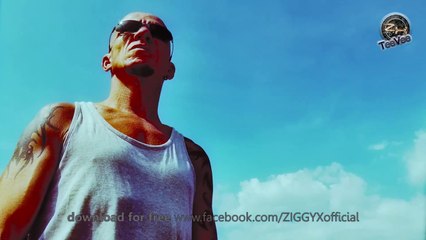 Nalin & Kane - Beachball (Ziggy X Bootleg Mix)