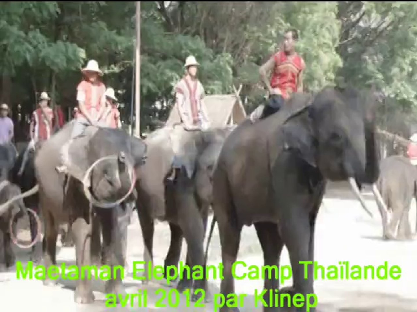 ⁣montage vidéo elephants ThaIlande