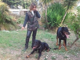 élevage des sentinelles d'haika