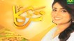 Recipe of Seekh Kabab, Lagan Gosht & Zeera Chutney By Rida Aftab Part 4 | HUM Masala TV | Tarka | LivePakNews.Com