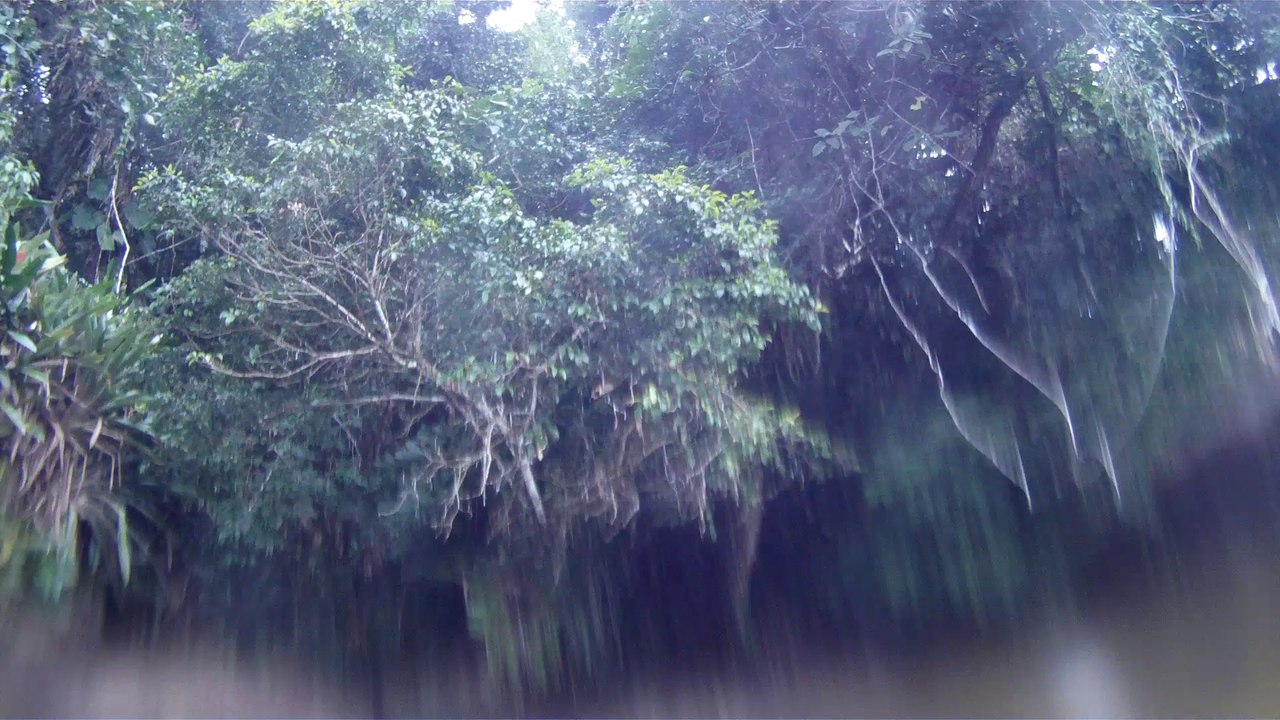 Navegando no Rio do Puruba, Ubatuba, SP, Brasil, mares e rios, Natureza Selvagem