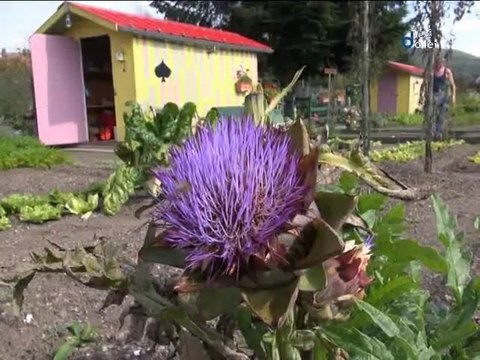 DHM 2014 - SEM 42 - Les jardins partagés de Masevaux