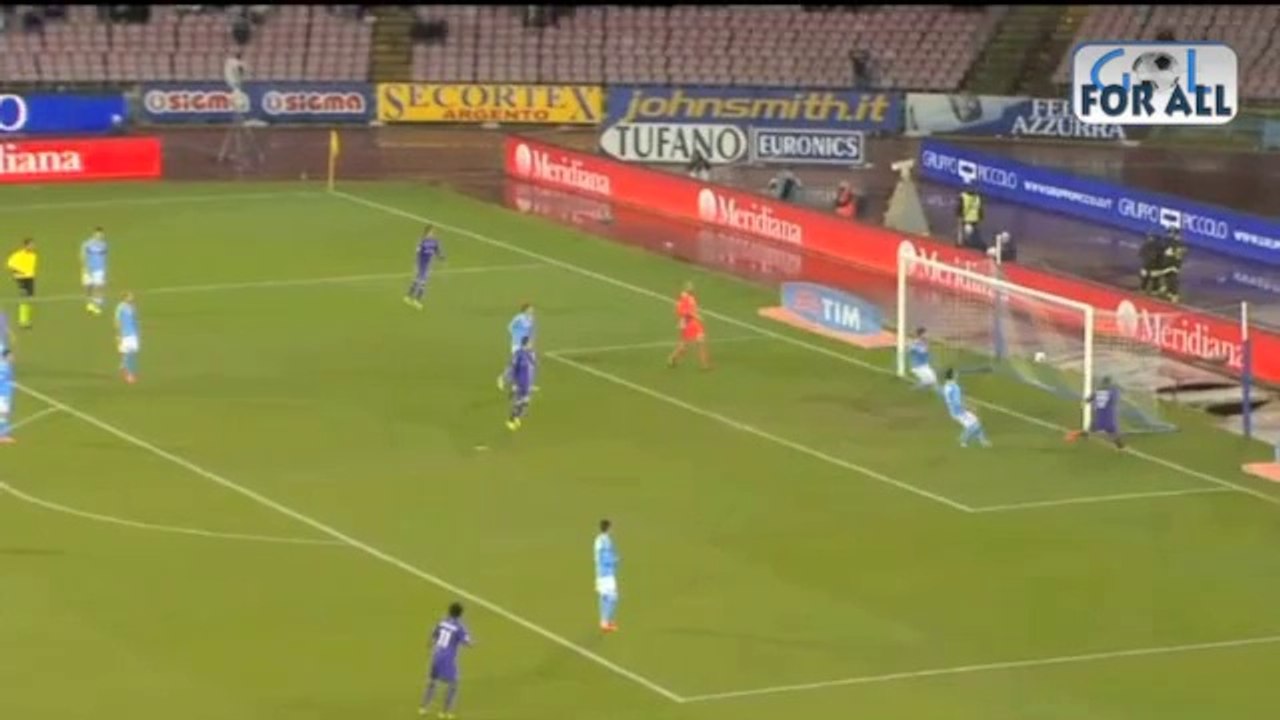 Napoli-Fiorentina 0-1 SerieA 2013-2014 (EFFETTO STADIO)