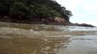 Entre o Mar e o Rio, nas ondas da maré cheia no Rio Puruba, Ubatuba, SP, Brasil