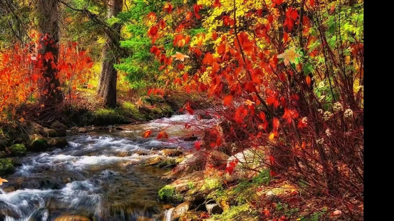 AUTUMN LEAVES - Instrumental - Saxophone ...