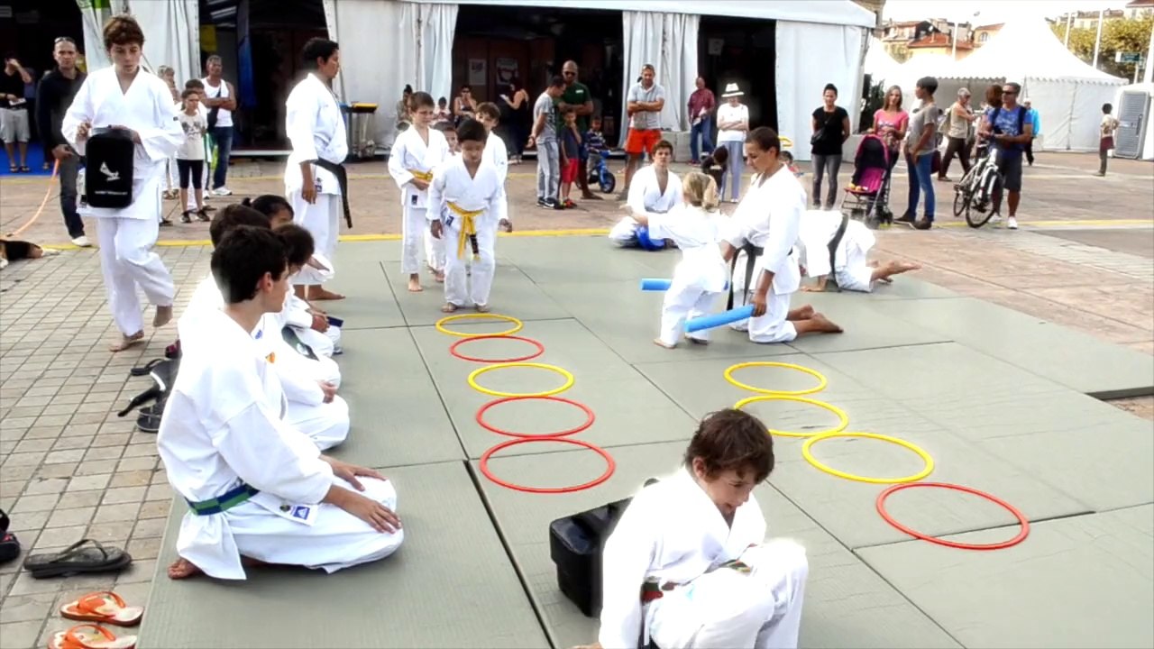 Viva associations Cannes - Karaté