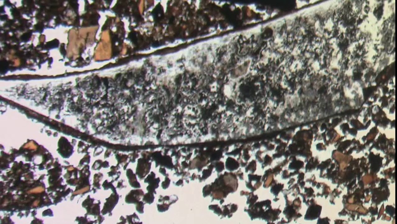Archéologie métiers Stéphane Pirson géologue