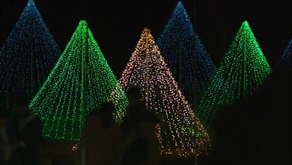 MIRACLE デビクロくんの恋と魔法