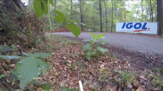 WRC: Sieg! Latvala verkürzt auf Ogier