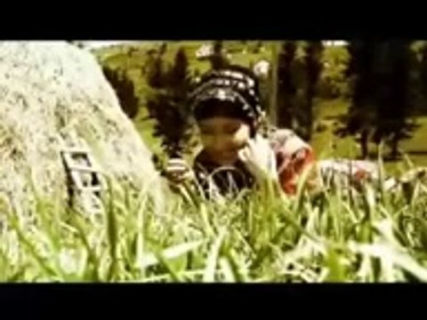 GÜNGÖR YILDIZ....agasarli gülveren KelebeK