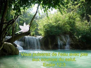 SOURCE et CHANTS d'OISEAUX