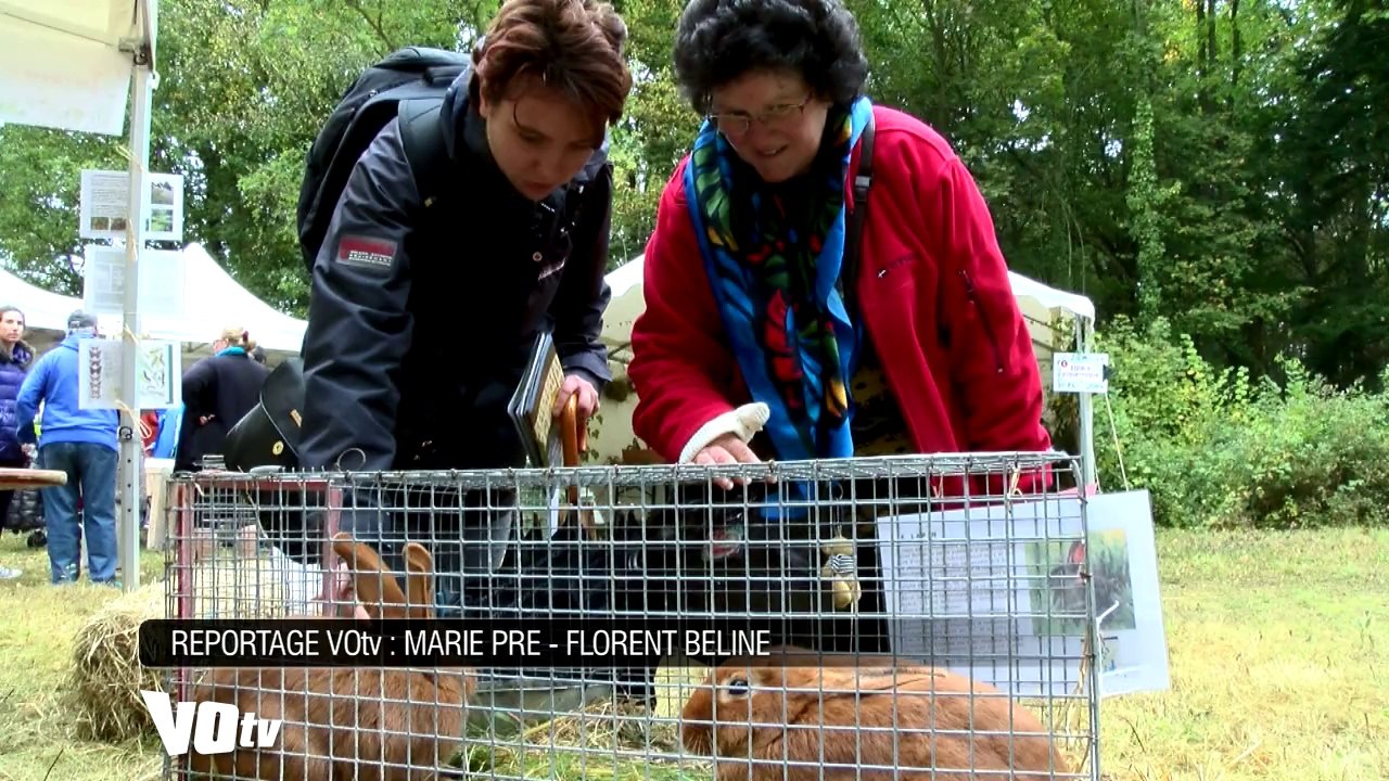 VOTV Le PNR Oise-Pays de France & 10 ans