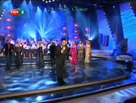 Bahadır ÖZÜŞEN *Artık Yeşerecek Bir Dalım Yok*