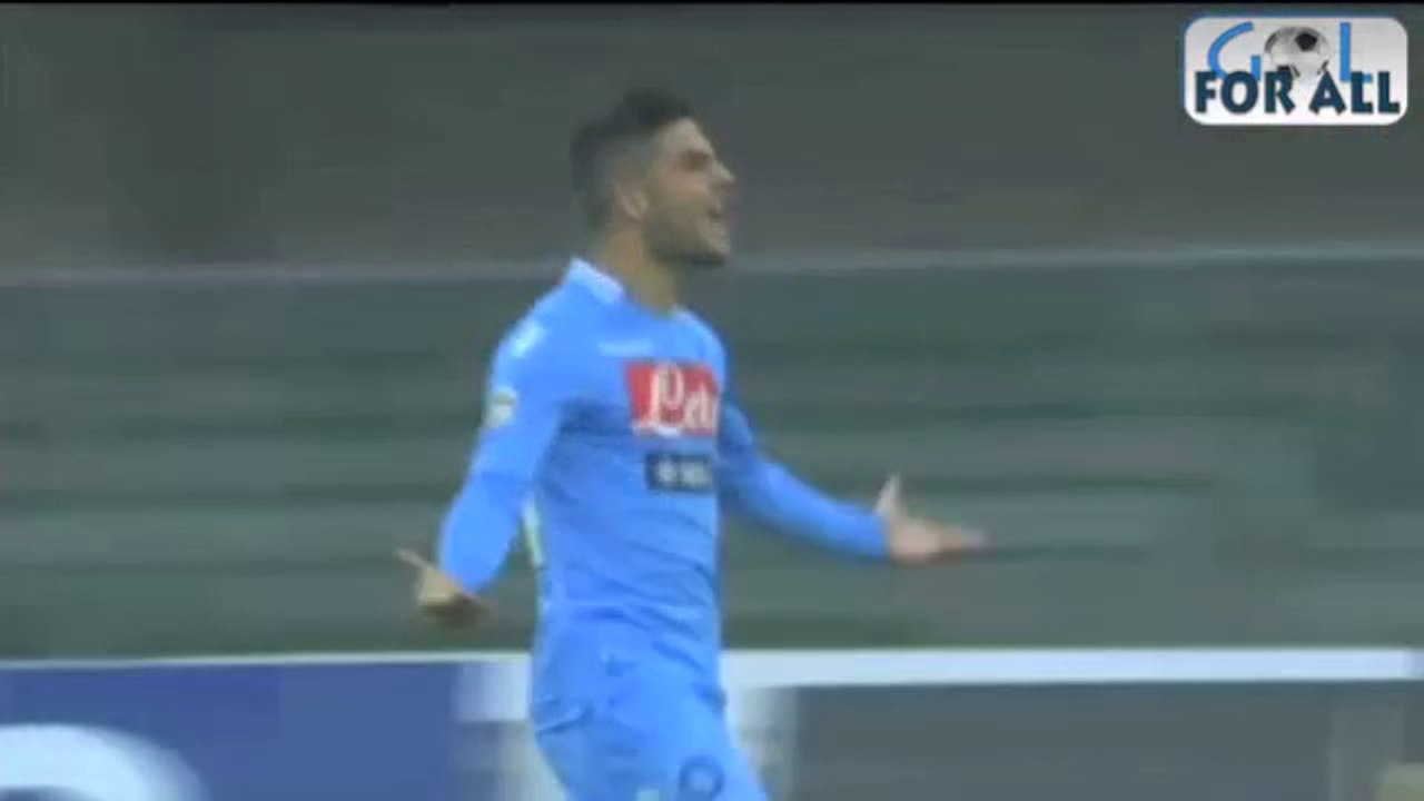 Verona-Napoli 0-3 serieA 2013-2014 (EFFETTO STADIO)