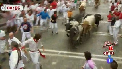 Bull Fighters