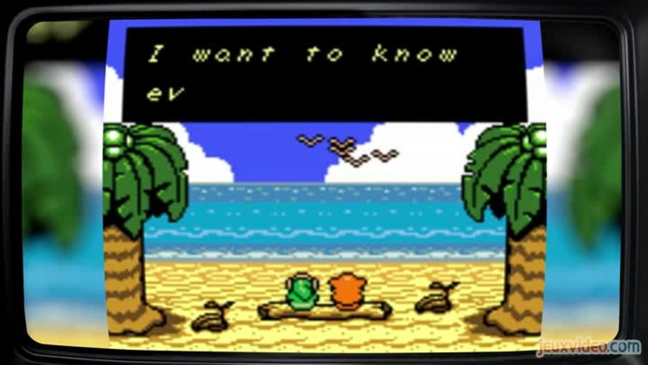 Le Fond De L'Affaire - The Legend of Zelda - Zelda - Easter eggs