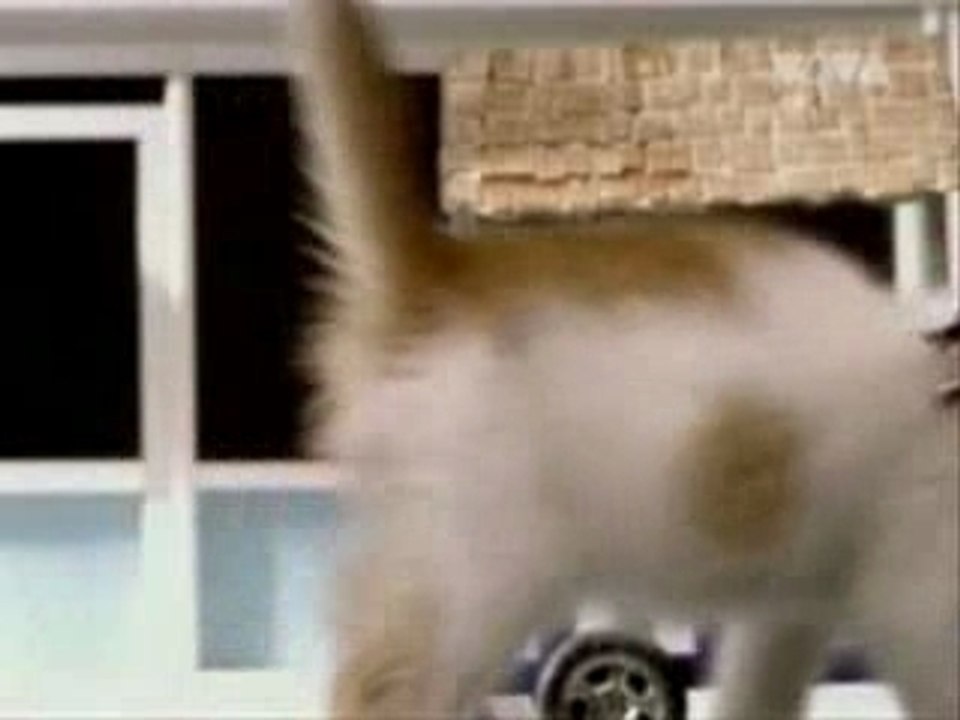 Fatboy Slim - The Joker