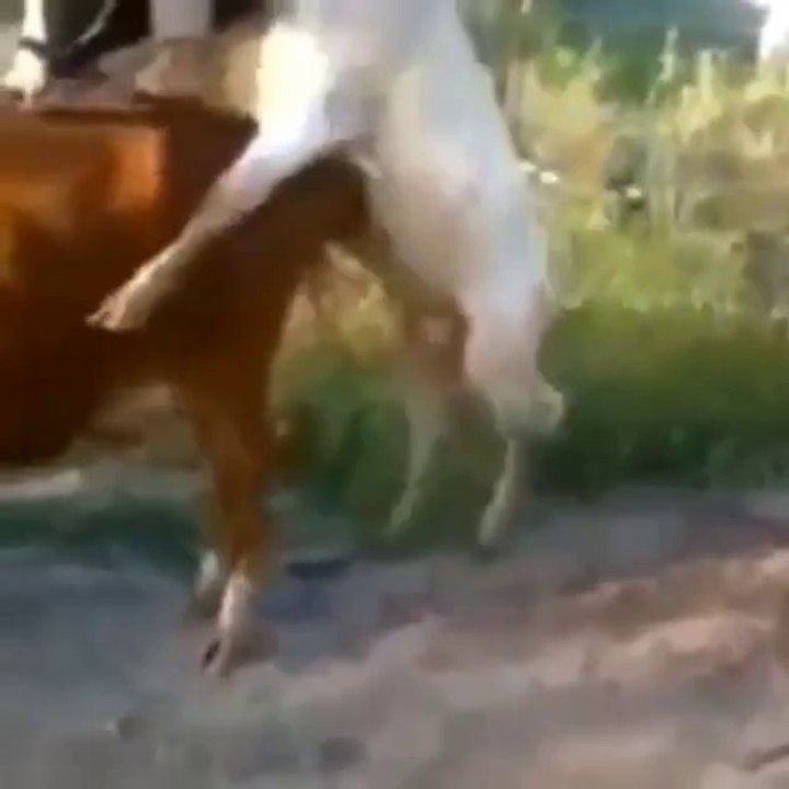 Not Me !
