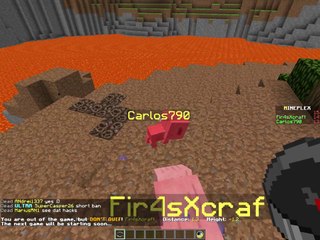 Bacon Brawl no knockback hacker