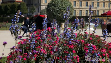 Paris Vacation Travel Guide