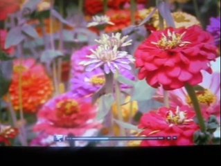 Israel turning into a garden of Eden