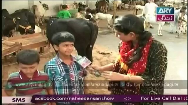 Naheed Ansari Show, 4th October 2014, Timan Zaffran