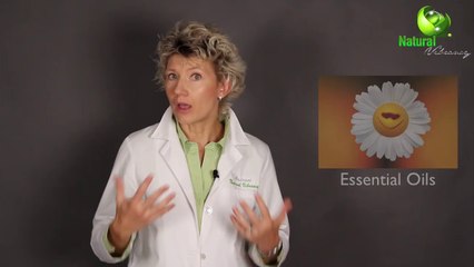 Healthy Natural Ingredients For Skin Care