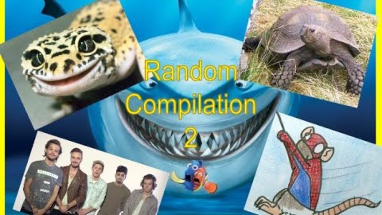 JakesGotHerps Random Compilation #2!