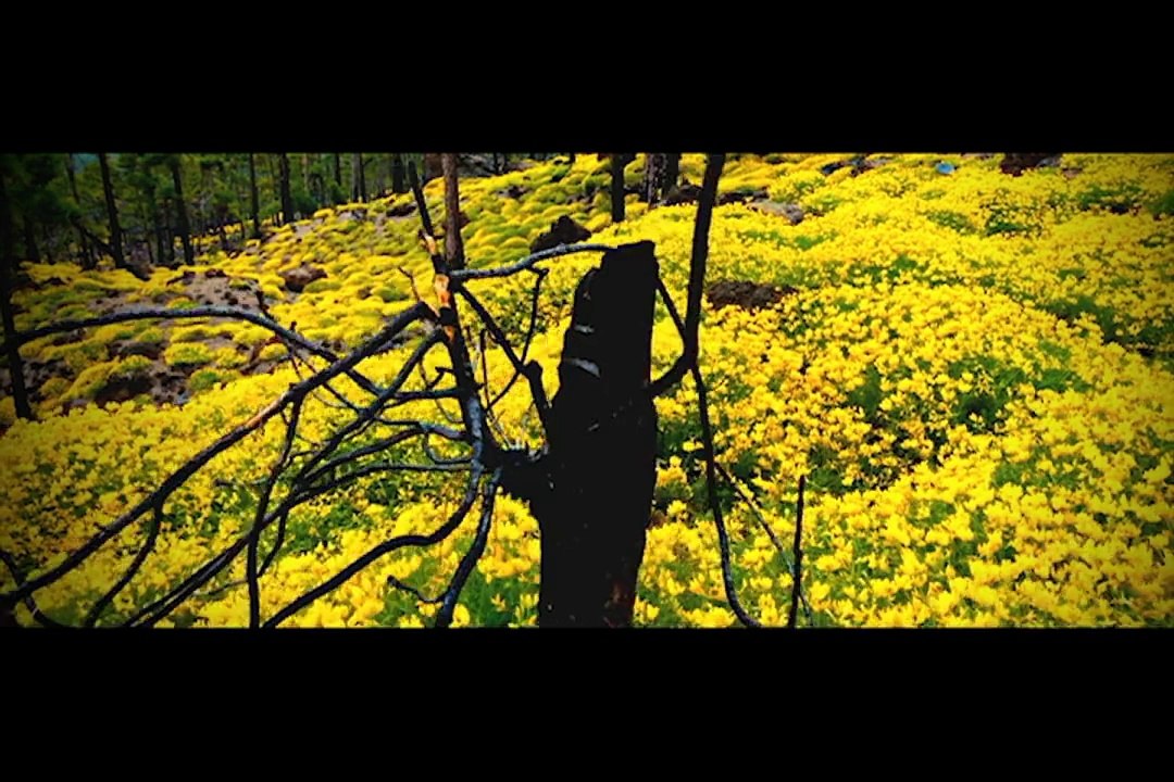 MERA KHUDA - ALI AZHAR
