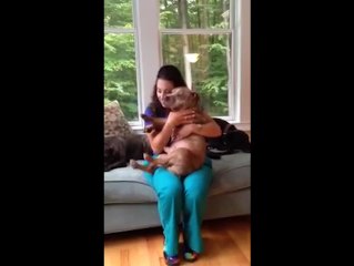 Dog enjoys lap time