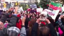 PTI Canada Rally against Nawaz Govt