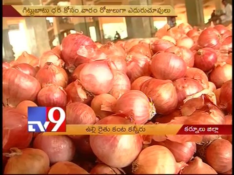 Kurnool farmers in tears as onion prices fall - Tv9
