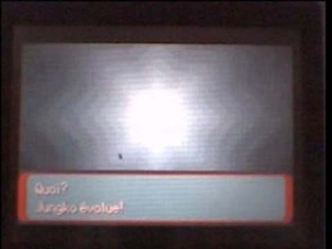 Evolution de massko shiney