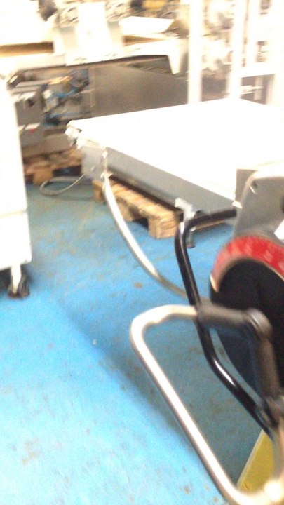 Seewer rondo teigausrollmaschine