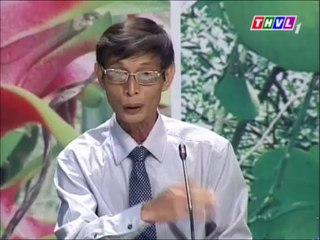 Nâng cao hiệu quả trồng bưởi da xanh (phần 1)