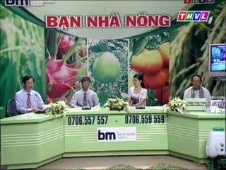 Nâng cao hiệu quả trồng bưởi da xanh (phần 2)