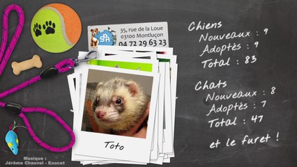 Un mois au refuge : septembre 2014