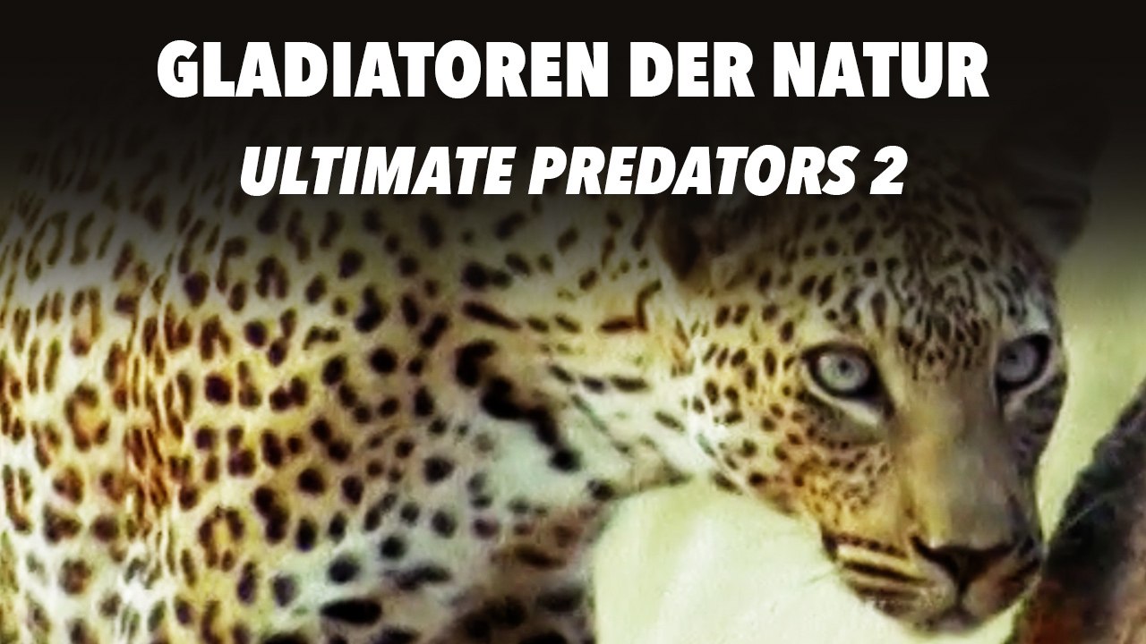 Gladiatoren der Natur - Ultimate Predators 2 (2012) [Dokumentation] | Film (deutsch)