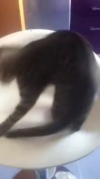 VID-20140925-WA0001.mp4