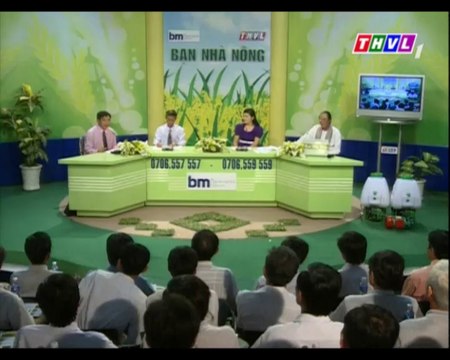 Quản lý bệnh hại trên vườn cây ăn trái trong mùa mưa (phần 1)