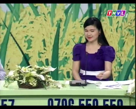 Quản lý bệnh hại trên vườn cây ăn trái trong mùa mưa (phần 2)