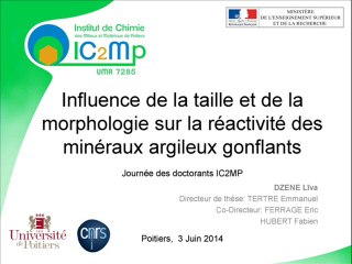 06 Liva DZENE - Journée des docorants IC2MP