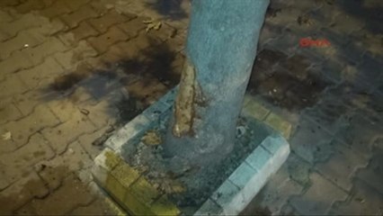Karabük Emniyet Kemerini Arkadan Takan Sürücü Kazada Yaralandı