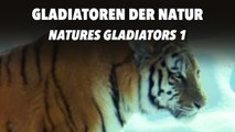 Gladiatoren der Natur - Natures Gladiators 1 (2011) [Dokumentation] | Film (deutsch)