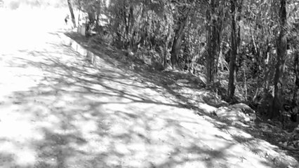 MTB, ciclismo, Sasselos Team, Marcelo Ambrogi, Tremembé, SP, Brasil, (16)